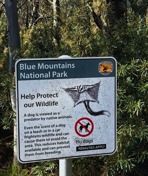 A Blue Mountains National Park sign asking visitors to help protect native wildlife