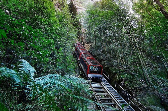 The Scenic Railway track running down into the rainforest on the valley floor