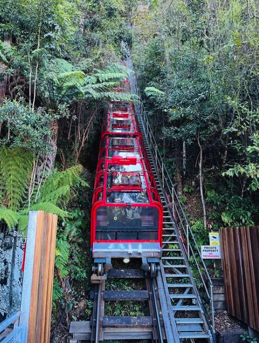 The red Scenic Railway carriage on its incline through the rainforest