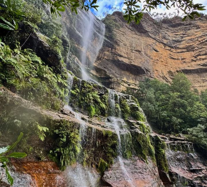Water falling down a sandstone cliff face with ferns growing at its foot